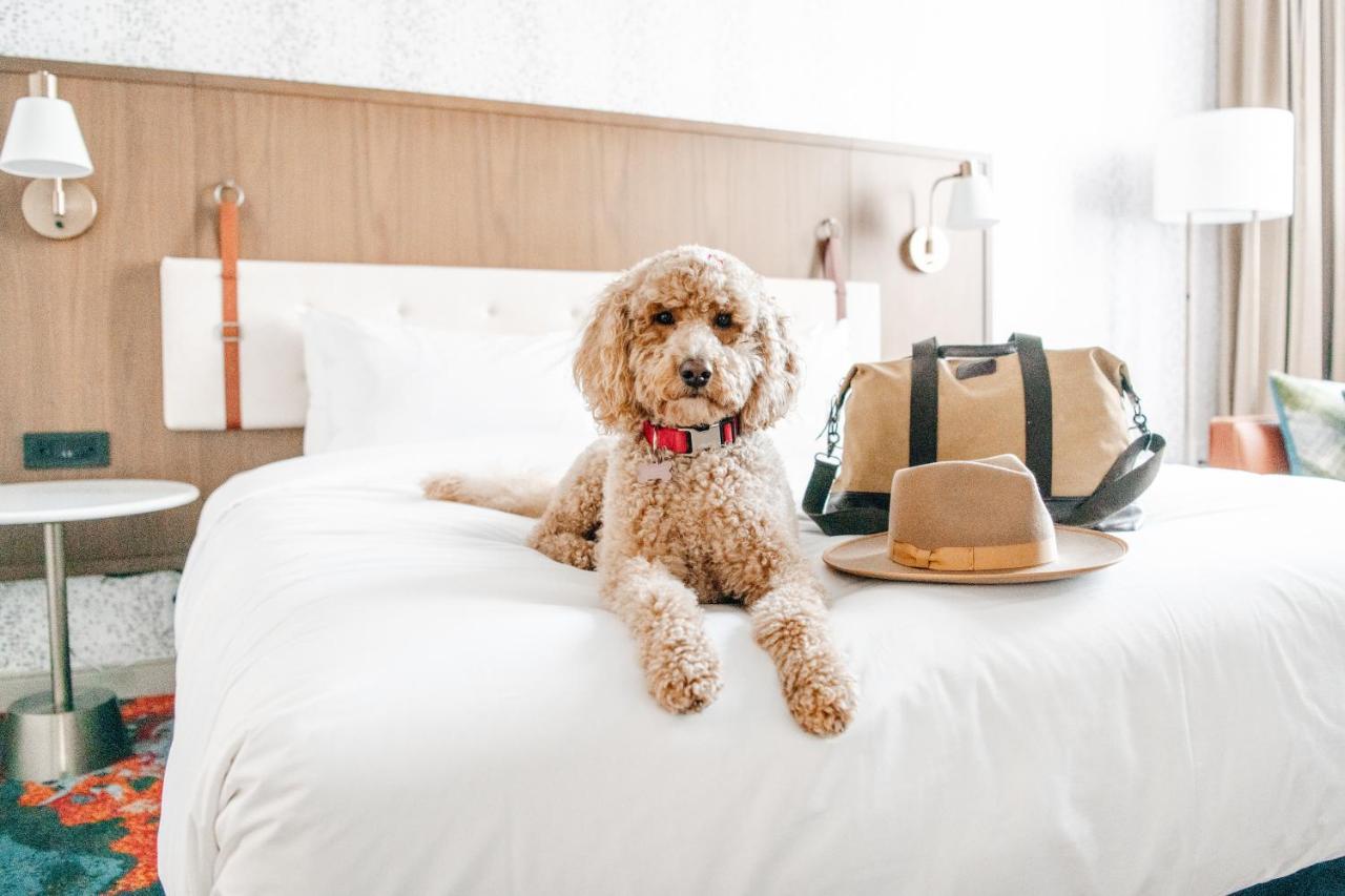 Hyatt Centric Downtown דנוור מראה חיצוני תמונה